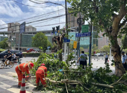 <strong>上海行道树被吹断 骑手小哥被砸身亡</strong>