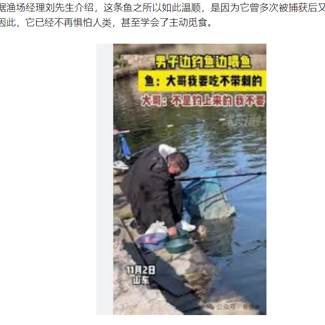 <strong>大哥正钓鱼 30斤大鱼游过来要吃的这条鱼之前被多次捕获和放生</strong>