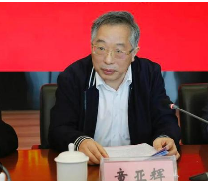 <strong>中央巡视组进驻后 童亚辉主动投案</strong>
