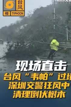 <strong>多路记者直击台风“韦帕”一线</strong>