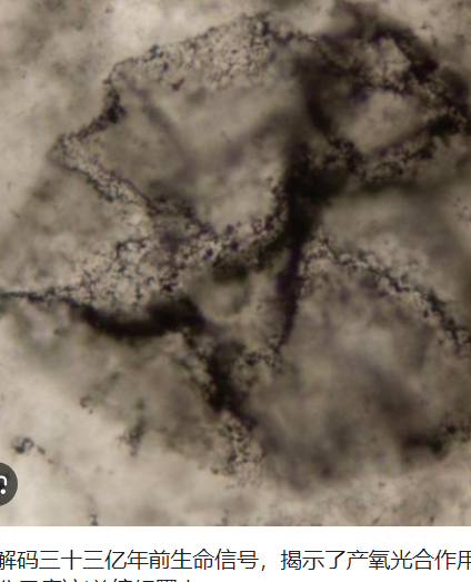 <strong>AI解码三十三亿年前生命信号</strong>