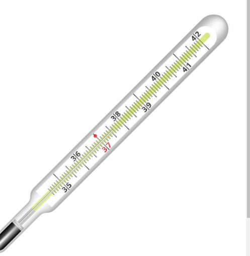 <strong>水银体温计将于2026年禁产</strong>