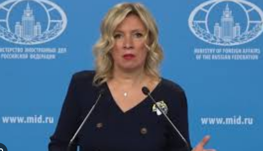 <strong>扎哈罗娃谈南京大屠杀</strong>