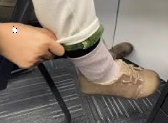 <strong>东北人在南方崩溃:穿3条加绒裤仍冷</strong>