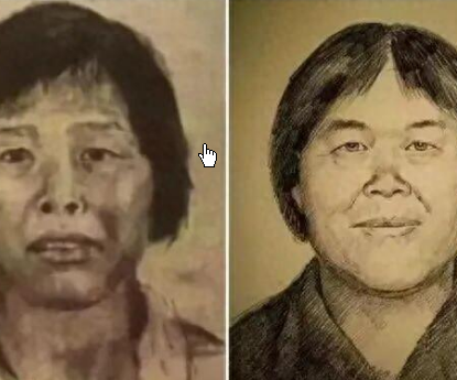 <strong>梅姨的下场会怎样?专家:可能判死刑</strong>