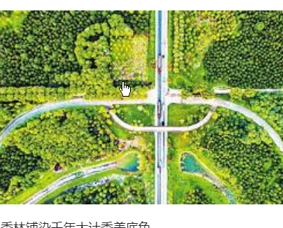 <strong>“千年大计”从一片林起笔</strong>