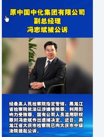 <strong>冯志斌被公诉</strong>