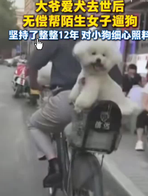 <strong>大爷爱犬去世后为陌生女子遛狗12年</strong>
