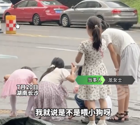 <strong>1根香肠掰两半一半饱腹一半陪伴</strong>